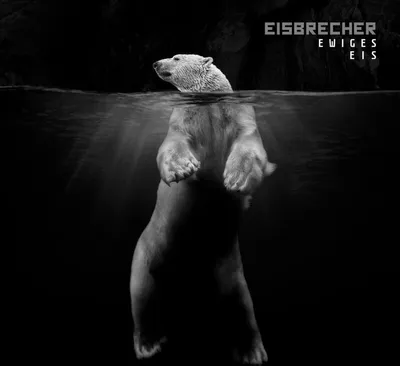 Obrázok produktu pre Eisbrecher: Eisbrecher: Ewiges Eis - 15 Jahre Eisbrecher (Limited Edition) (Hardcoverbook) - RCA - (CD / E)
