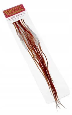 Obrázek produktu pro Whiting 100 Peří sedlového kohouta Hnědá Háček #18