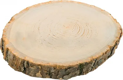 Holzscheibe Baumscheibe Deko Hochzeit 1 Stück 30 cm Tischdeko Geburtstag Basteln DIY