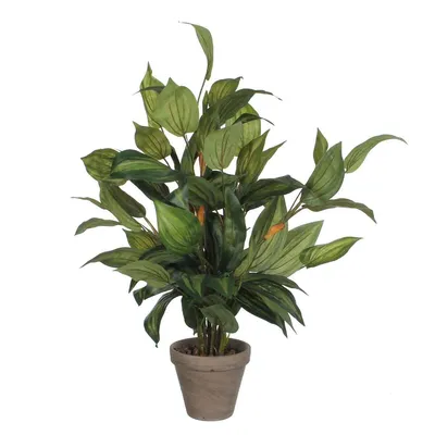 Produktbild von Mica Decorations Hosta Kunstpflanze - H65 x Ø40 cm - Grün