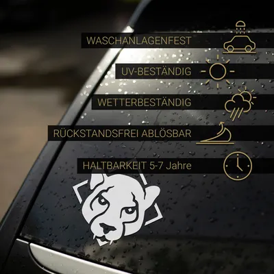 Produktbild von PantherPixel Elektrisch Aufkleber Fahre Ich Auf Der Kirmes Sticker Auto Geschenkidee Farbe Weiss