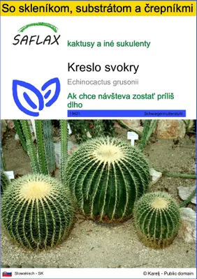 Obrázok produktu pre SAFLAX Kultivačný set - kreslo svokry - Echinocactus grusonii - 40 Semená - S mini skleníkom, pestovateľským substrátom a 2 črepníkmi