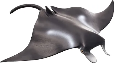 Produktbild von Mojo 387353 Animal Planet Mantarochen ca. 12 x 15 x 1 cm