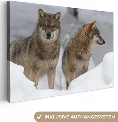 Produktbild von OneMillionCanvasses® - Leinwandbilder - 150x100 cm, Wolf - Schnee - Tiere, Wandbilder Kunstdruck Wanddekoration
