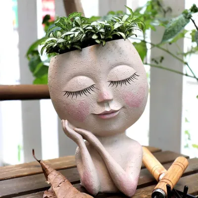 Image de Pot de fleurs avec visage - Pot pour plantes succulentes avec trou de drainage