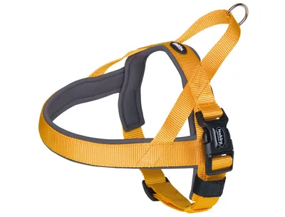 Produktbild von Nobby Norweger Geschirr Classic Preno orange/grau, Bauchumfang: 38-50 cm