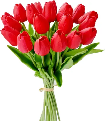 Produktbild von 20 künstliche weiße Tulpen aus Seide, 34 cm (13,5 Zoll), für Weihnachts-, Festtags- und Tischdekorationen, Gestecke und Brautsträuße