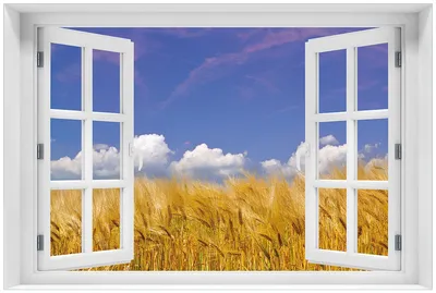 Produktbild von Wallario Premium Glasbild mit Fensterrahmen, freischwebende Optik, kräftige Farben, Größe 60 x 90 cm Motiv Kornfeld unter blauem Himmel