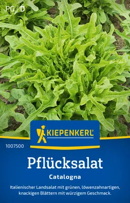 Produktbild von Kiepenkerl Pflücksalatsamen Catalogna Lactuca sativa 250 Pflanzen