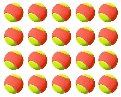 Productafbeelding van Set van 20 Tennisballen voor Beginners