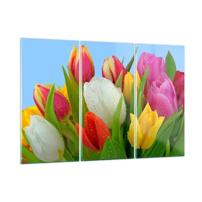 Produktbild von Bilder auf glas - Tulpen Blumenstrauß Blumen Tau - 105x70cm - Glasbilder - Wandbilder - Kunstdruck - zum Aufhängen bereit - Wanddekoration aus Glas - Glas Bilder - Wandbild auf Glas - GCE105x70-2526