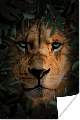 Produktbild von MuchoWow® Poster Dschungel - Löwe - Pflanzen 120x180 cm - Kunstposter