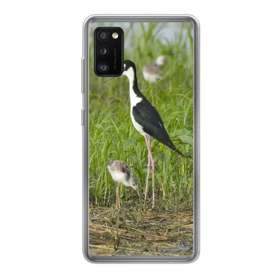 Produktbild von MuchoWow® Handyhülle Schutzhülle Hülle für Samsung Galaxy A41 Vogel - Gras - Küken - Sumpf Silikon Softcase Handy Hülle - Mobiltelefon