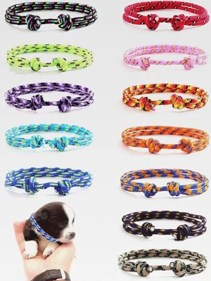 Produktbild von 12 pcs welpenhalsband,12-20cm Welpen ID Halsbänder,welpenhalsbänder für züchter,Welpenhalsbänder Einstellbar Soft Welpen Halsbänder für welpen halsbänder,Neugeborene Welpen Kätzchen