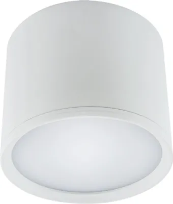 Image de Plafonnier ROLEN LED 10W 840lm 4100K WHITE IP20 03109 Strühm