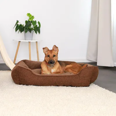 Image de lionto Canapé pour chiens, lit moderne pour chiens avec dessous antidérapant, housse amovible & intérieur en peluche, 90x75 cm, marron