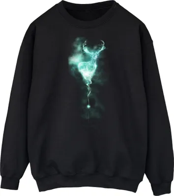 Obrázek produktu pro Harry Potter - Pánská mikina "Patronus Mist" BI1961 (3XL) (černá)