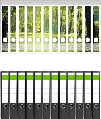 Produktbild von Wallario 12 Stück schmale Ordner inkl. Klebeetiketten mit Motive Idyllischer See im Wald bei Sonnenschein -  Set mit Rückenschildern / Ordnerrücken Stickern
