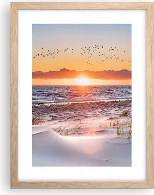 Produktbild von Gerahmtes Poster - Rahmen in heller Eiche - Sonne Strand Vögel - 30x40 cm - Wand Bild - Wanddeko - Wandbilder - Kunstposter - Wandposter - Bilderrahmen - Bilder - Kunstdruck - P2NPA30x40-4727