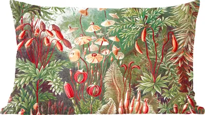 Produktbild von MuchoWow® Zierkissen Sofakissen Wohnzimmer Dekokissen 60x40 cm Blumen - Kunst - Vintage - Natur - Botanisch - Kopfkissen - Polster mit Foto