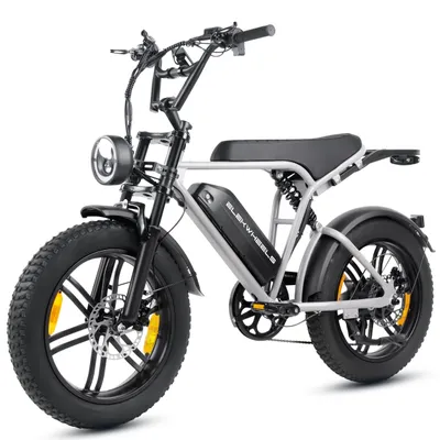 Produktbild von Draixcor E6-3.0 E-Bike 20 Zoll Fatbike, 48V 15Ah 720Wh, 250W Heckmotor, 25 km/h, bis 108 km, Shimano 7-Gang, Hydraulikbremsen, Vollfederung, Grau