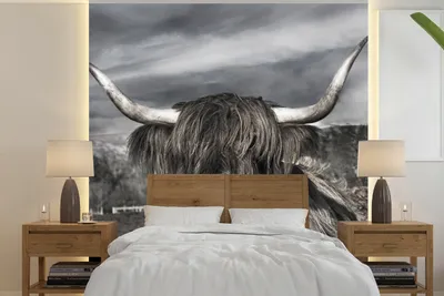 Produktbild von MuchoWow® Fototapete für Wohnzimmer oder Schlafzimmer Wandtapete Vinyl Motivtapete Schottischer Highlander - Tiere - Hörner - 240x240 cm - Schlafzimmer-Tapete