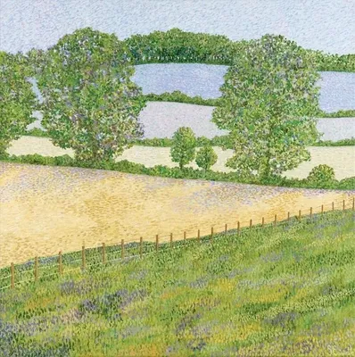 Image de Carte avec enveloppe - Beeches