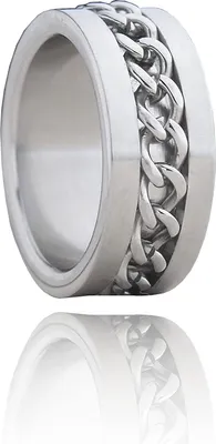 Produktbild von Karisma Edelstahl Herren Ring Mit Kette Matt Poliert Männer SR260 - 67 (21.3)
