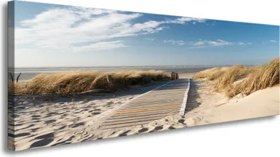 Obrázek produktu pro Canvas North Sea Reed Dune 5732 - Obrazy / nástěnná malba / umělecký tisk je připravena zarámovat