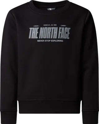 Immagine prodotto di Il Logo Riflettente "The North Face" Modello Crew, Taglio Rilassato, Colore: Nero Tnf, Taglia: L