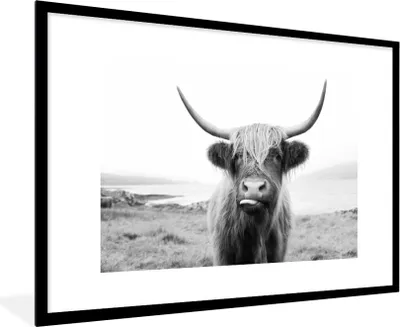 Produktbild von MuchoWow® Gerahmtes Poster Tiere - Schottischer Highlander - Kuh - Schwarz - Weiß 90x60 cm - Poster mit Schwarzem Bilderrahmen Wandposter Rahmen Foto Bilder - Wanddekoration - Fotos