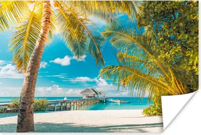 Produktbild von MuchoWow® Poster Tropisch - Strand - Palme 60x40 cm - Schlafzimmerdekoration
