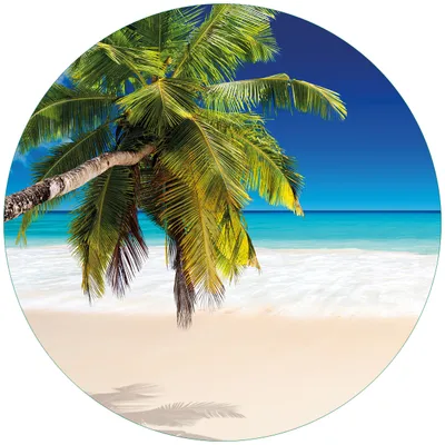 Produktbild von Wallario Premium Glasbild, freischwebende Optik, kräftige Farben, rund 50cm Durchmesser, Motiv Südseestrand in der Karibik mit Palme