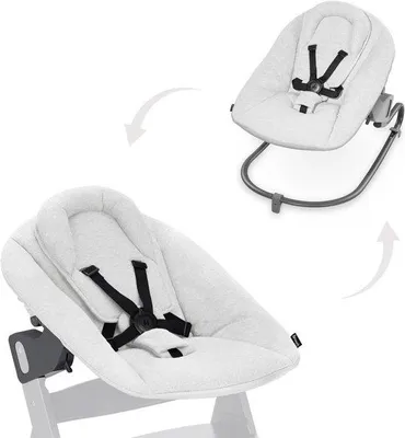 Productafbeelding van Baby Bouncer - Newborn Zitje - Vanaf Geboorte - Verstelbare Rugleuning - 5-Puntsgordel - Lichtgrijs