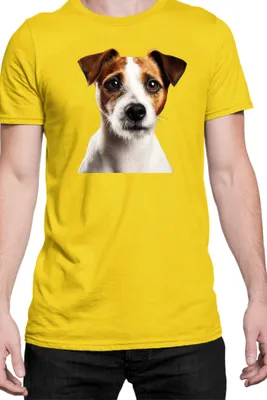 Produktbild von Herren T-Shirt Dogs Breeds Russell Terrier Dog Breed 005, Man M / Gelb