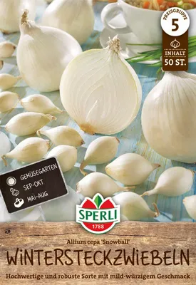 Produktbild von SPERLI Wintersteckzwiebel Snowball - weiß Allium cepa 50 Zwiebeln