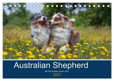 Produktbild von Australian Shepherd 2027 (Tischkalender 2027 DIN A5 quer), CALVENDO Monatskalender