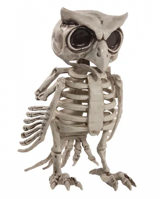 Produktbild von Skelett Eule als Halloween Dekoration 17,5cm