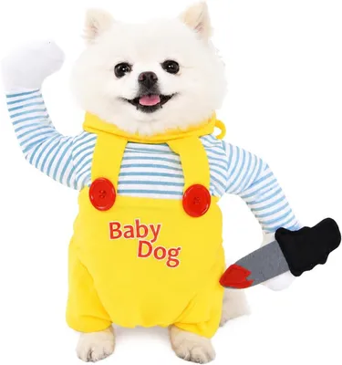 Imagen del producto de Disfraces de Halloween para mascotas, talla M, para perros y gatos, atuendo festivo