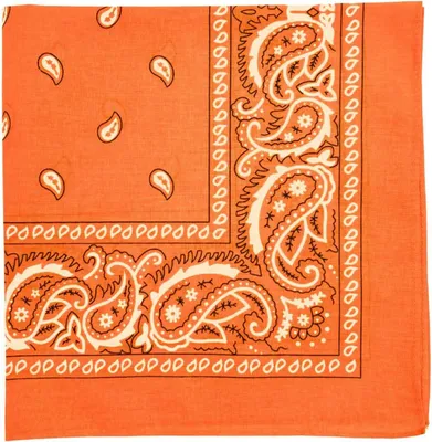 Imagen del producto de Pañuelo de algodón 100%, 56 x 56 cm, estampado paisley, para la cabeza y el cuello