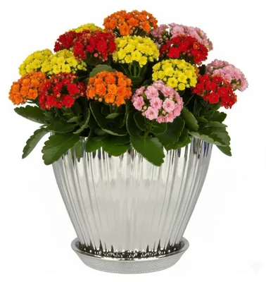 Produktbild von Silberner Keramikblumentopf Mit Geriffelter Oberfläche, Glänzend, Durchmesser 16 Cm, Höhe 14 Cm