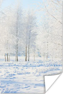 Produktbild von MuchoWow® Poster Schnee - Bäume - Winter 40x60 cm - Plakate für die Wand - Poster Babyzimmer