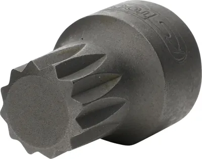 Produktbild von KS Tools 1/4" Bit-Stecknuss XZN, M10, extra kurz, 911.1856