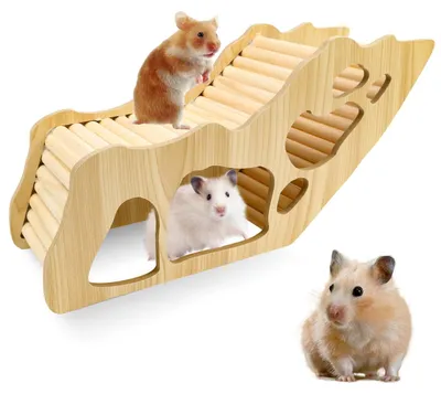Obrázok produktu pre Drevený domček pre škrečka s tunelom a úkrytom - 32 x 10,5 x 15,2 cm (štýl 1)