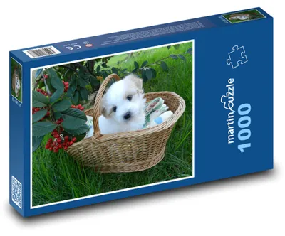Zdjęcie produktu dla martinpuzzle - Puzzle 1000 elementów - Szczeniak w koszyku