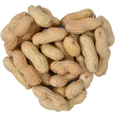 Produktbild von 10 kg Lyra Pet® Erdnusskerne in Schoten HK Argentinien