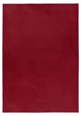 Obrázek produktu pro Carpetsale24 Hebký Vysoký Chlup Koberec Jednobarevný Imitace Kožešiny Plyšový Super M?kký Koberec do Obývacího Pokoje, Velikost: 240x340 cm