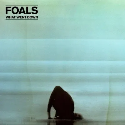 Produktbild von Foals-What Went Down
