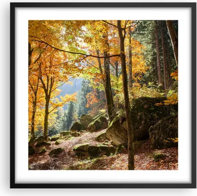 Produktbild von Gerahmtes Poster - Schwarzer Rahmen - Herbst berg wald natur - 50x50 cm - Wand Bild - Wanddeko - Wandbilder - Kunstposter - Wandposter - Bilderrahmen - Bilder - Kunstdruck - Wandbild - P2BAC50x50-2713