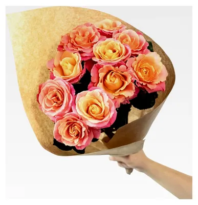 Produktbild von Rosenstrauß 'Miss Elegance' - 10 Stiele - Stiellänge ca. 50 cm - Strauß frischer Rosen